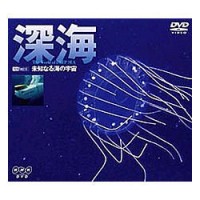����ե��쥹�� ���� ̤�Τʤ볤�α���