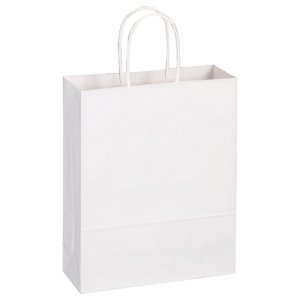 OR-W-S 紙手提袋 丸紐 小 ヨコ260×タテ320×マチ幅100mm 白無地 300枚セット 汎用品 (910-8709)