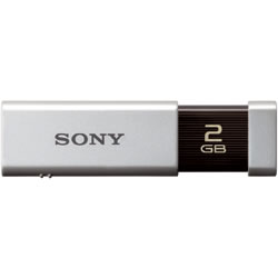 ���ˡ� USM2GL POCKET BIT 2GB