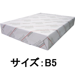 �����ѡ��ۥ磻��PPC�ѻ� B5