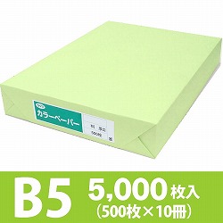 サクラカラーペーパー B5判 厚口 うぐいす色