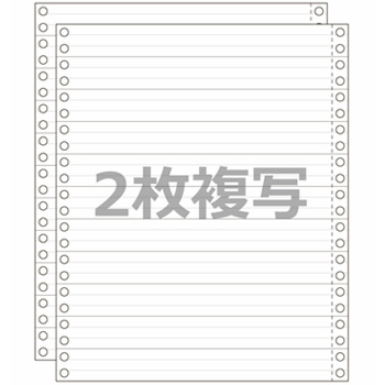 ストックフォーム 9×11 2P N40 青発色 3ライン 汎用品
