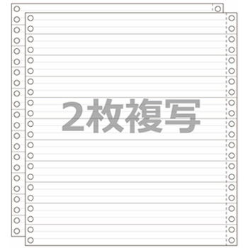 ストックフォーム 10×11 2P N40 青発色 3ライン 汎用品