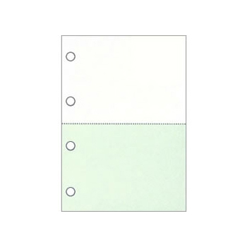 KN2401 レーザープリンタ用帳票用紙 A4 カラー1色2面 4穴