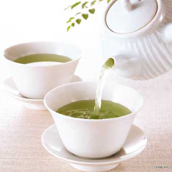 西条園あいや本店 お茶詰合せ