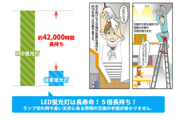 長寿命