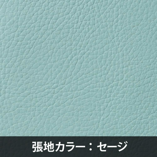 【カラーサンプル】好む人が多い、清々しい水色のセージ