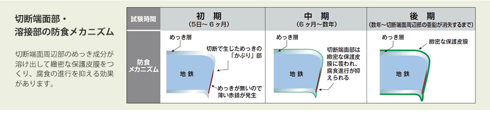 6f-mechanism