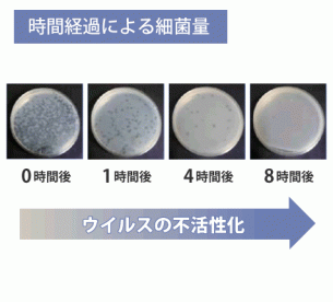 時間経過による細菌量の変化