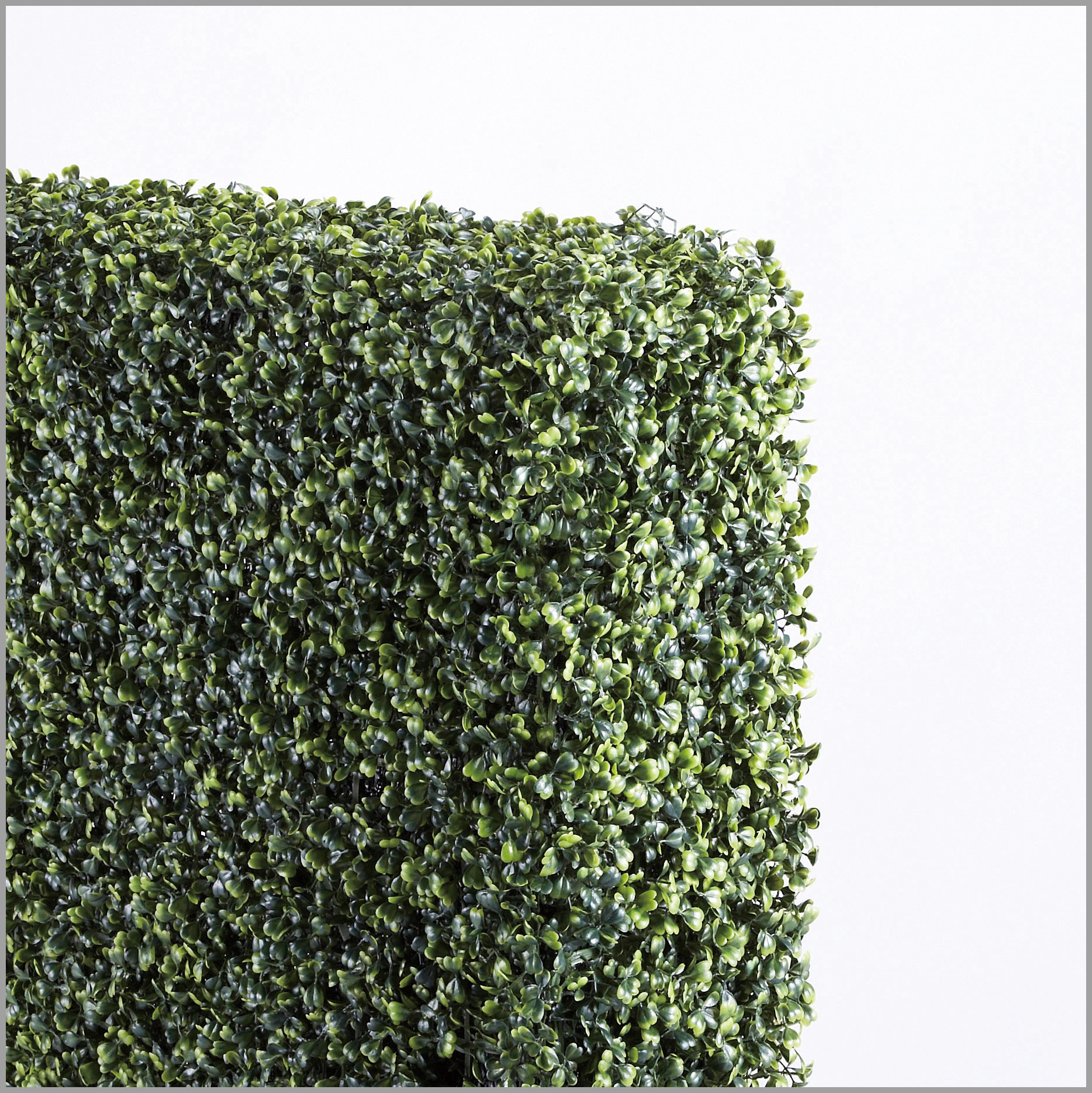 在庫限り 直送 リレヤ 藤沢工業 リーフパーテーション10 Lp 10 人気商品再入荷 Cocobration Com