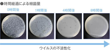 時間経過による細菌量の変化