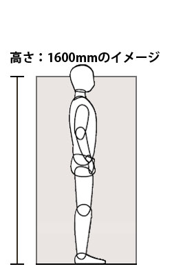 立って気配がわかる高さ：160cm使用イメージ