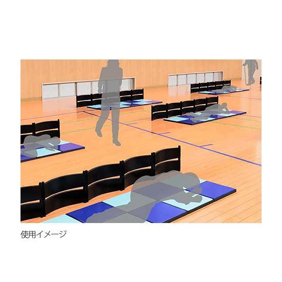 使用例（災害時）