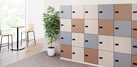 locker-order-n01