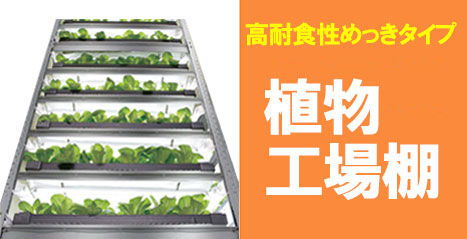 植物工場棚