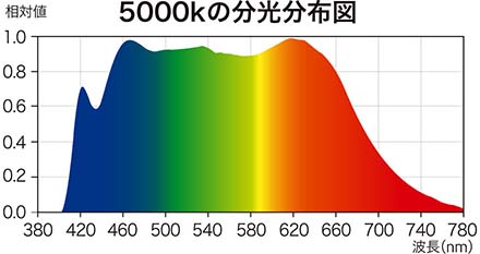 5000kの分光分布図