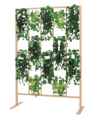 ランダムグリーンタイプ