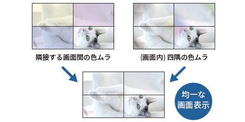 均一性と再現性を高めた映像表示