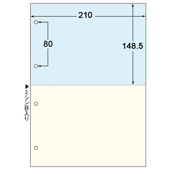 FSCFT2011 マルチプリンタ帳票(FSC森林認証紙) 複写タイプ A4 ノーカーボン カラー 2面 4穴 汎用品
