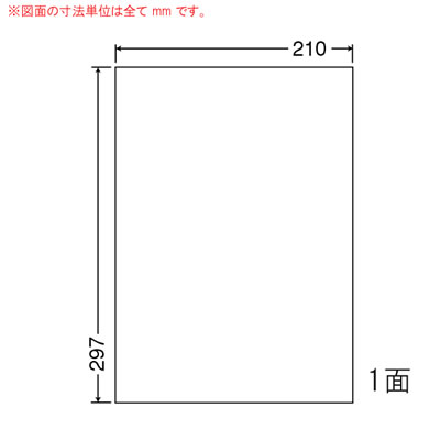 ナナ FCL7F タフネスラベル