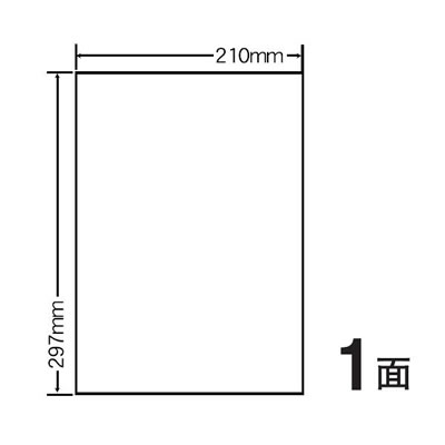 ナナ FCL7MG タフネスラベル