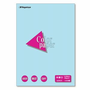 Nagatoya ナ-3212 COLOR PAPER A4 中厚口 空 (125-0930) 1冊=100枚