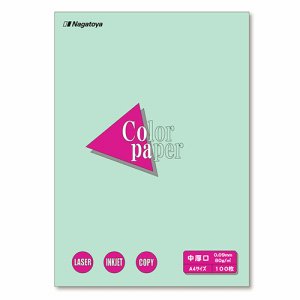 Nagatoya ナ-3211 COLOR PAPER A4 中厚口 浅黄 (125-0947) 1冊=100枚