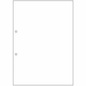 FSCT2001S マルチプリンタ帳票 FSC森林認証紙 A4白紙 2穴 汎用品 (923-1863) 1セット=1000枚