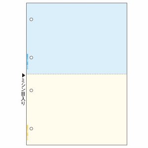 FSCT2011V マルチプリンタ帳票 FSC森林認証紙 A4 カラー 2面 4穴 汎用品 (320-1084) 1箱＝2000