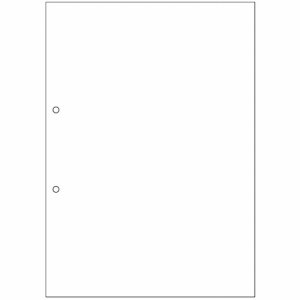 BPCT2001 マルチプリンタ帳票 複写タイプ A4 ノーカーボン 白紙2穴 汎用品 (325-6497) 1箱(500枚(1