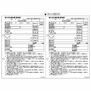 ヒサゴ GB1155 給与支払報告書(総括表) レーザープリンタ用 A4ヨコ 2面 (023-4832) 1箱＝500枚