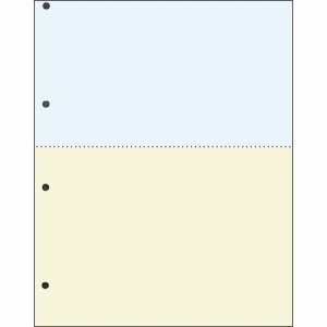CPPA42C25F 汎用マルチタイププリンタ帳票 カラー用紙 A4 2分割 4穴 1箱2500枚 汎用品 (222-4169)