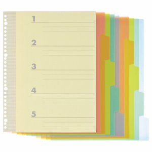 TI-A4-5P インデックス(PP) A4タテ 2・4・30穴 5山2組 20パックセット 汎用品 (910-6460) 1セ