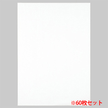 TMM-W-R3 模造紙(プルタイプ) 詰替用 765×1085mm 無地 ホワイト 60枚セット 汎用品 (814-4140)