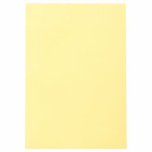 CDP8-A02 色画用紙 八つ切 クリーム 汎用品 (616-2214) 1パック＝10枚