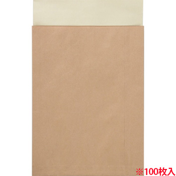 キングコーポレーション 190411 ポストイン定形外封筒 100G /M2 未晒クラフト (216-2487) 1ケース=10