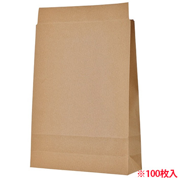 TTB-B 宅配袋 大 茶 封かんテープ無し 汎用品 (018-6089) 1パック=100枚