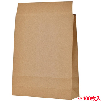 TTB-TS 宅配袋 小 茶 封かんテープ付 汎用品 (018-6133) 1パック=100枚