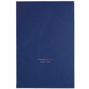 ヘッズ EVN-BL 梨地バッグ ネイビー L (015-3456) 1パック=30枚