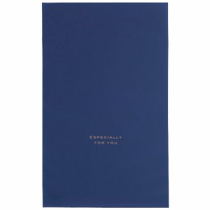 ヘッズ EVN-BS 梨地バッグ ネイビー S (015-3470) 1パック＝50枚