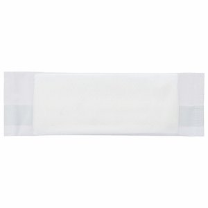 TE50H 紙エンボスおしぼり 平型 汎用品 (765-3766) 1セット=100枚(50枚×2パック)