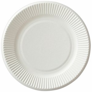 ペーパーウェア T-6SE ペーパープレート 15CM (762-0324) 1セット=250枚(50枚×5パック)