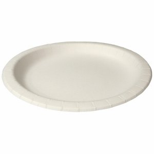 ペーパーウェア NP-22 ナチュラルパルププレート 22CM (561-6840) 1パック=100枚