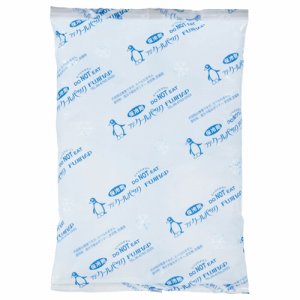 フジナップ CP-500-10 保冷剤 500g (269-6158) 1パック=10個