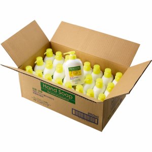 第一石鹸 181344 薬用ハンドソープ 本体 250ml (964-3116) 1セット=24個