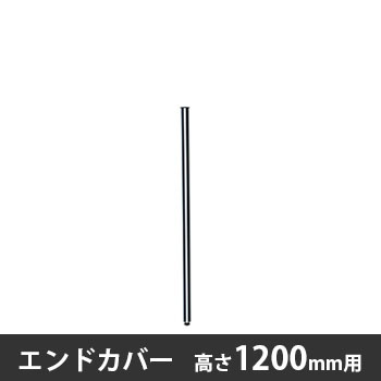Z-EC12