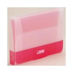 LIHIT G5900-3 PPクラッチケース A4 レッド