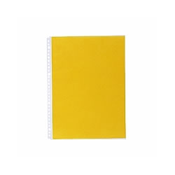 LIHIT N-2102 クリヤーポケット超厚