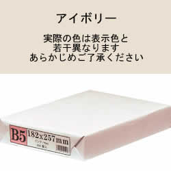APP カラーPPC用紙 B5 アイボリー