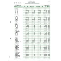 ソリマチ SR9481 合計残高試算表